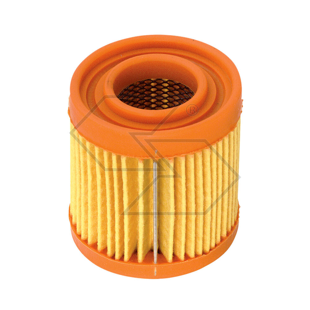Air Filter Tecumseh Bvl 198 1-t