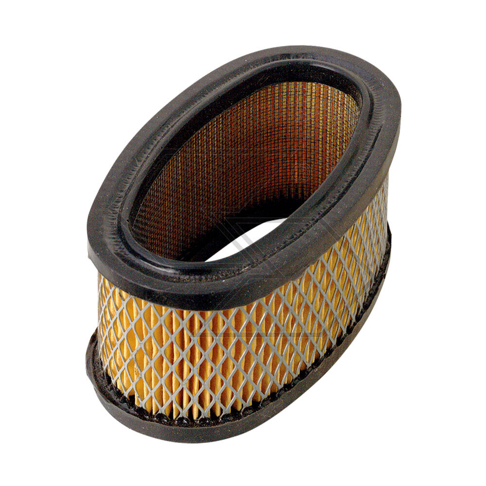 Air Filter B & S 11hp Vert.