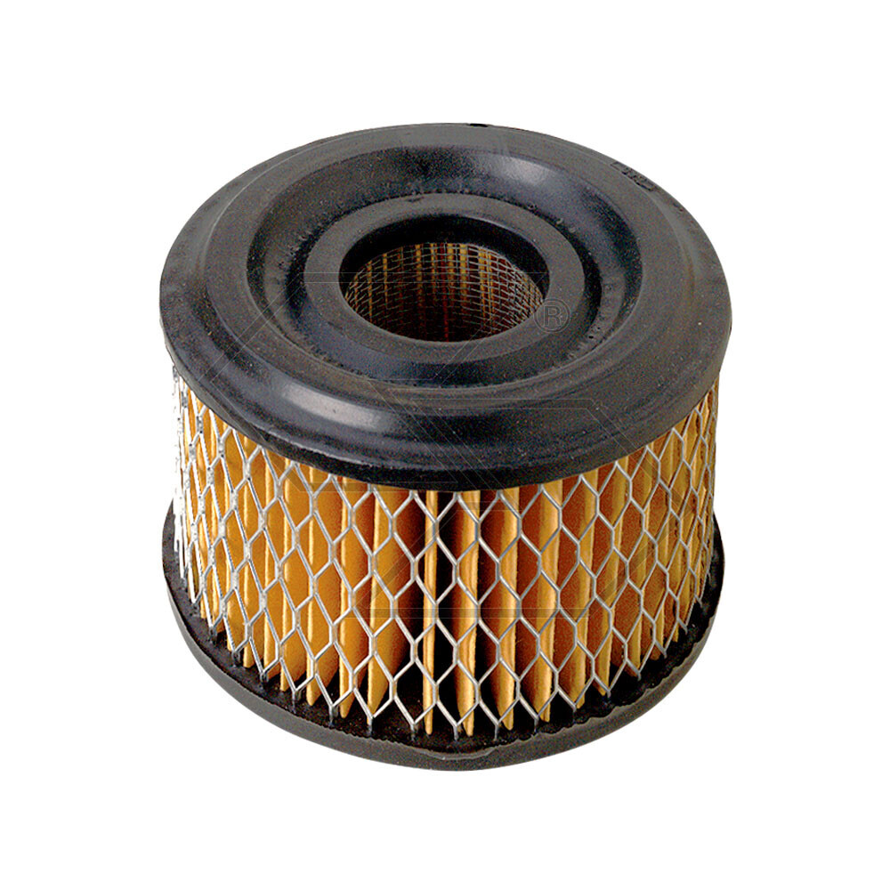 Air Filter B & S 390492