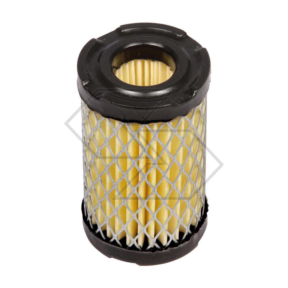 Tecumseh Centura Air Filter 4