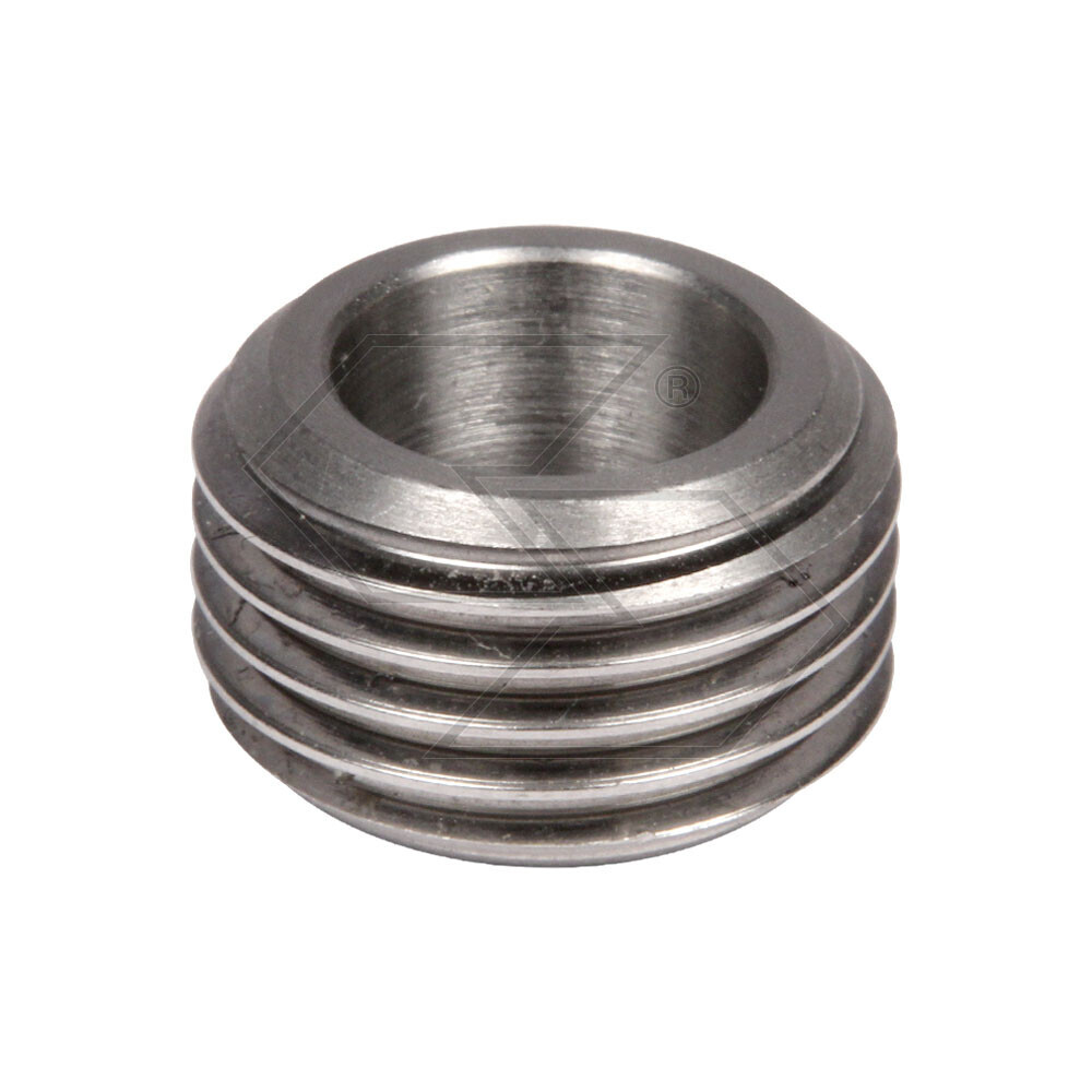 Endless Screw Echo Cs4400