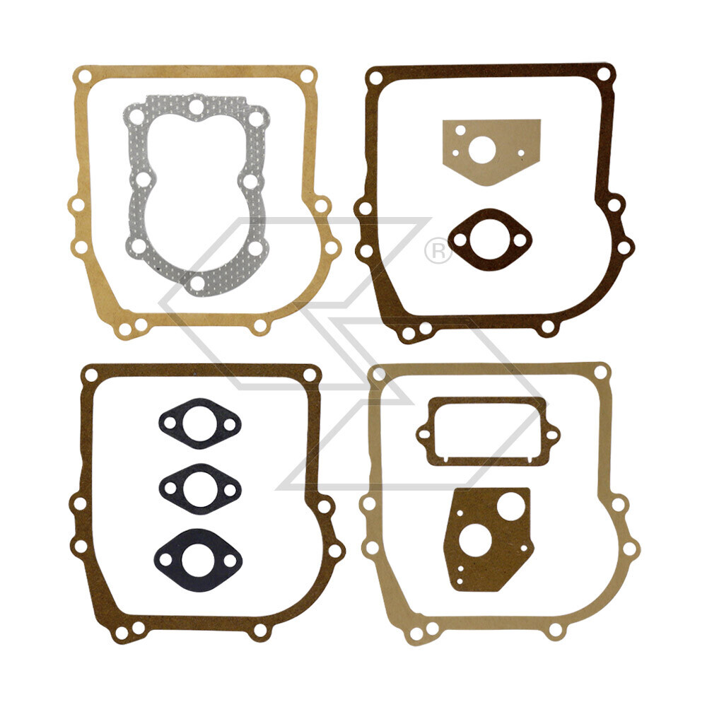 Guarniz.b. & S Series 2-3 Hp Horizon Guarniz.b. & S Series 2-3 Hp Horizon