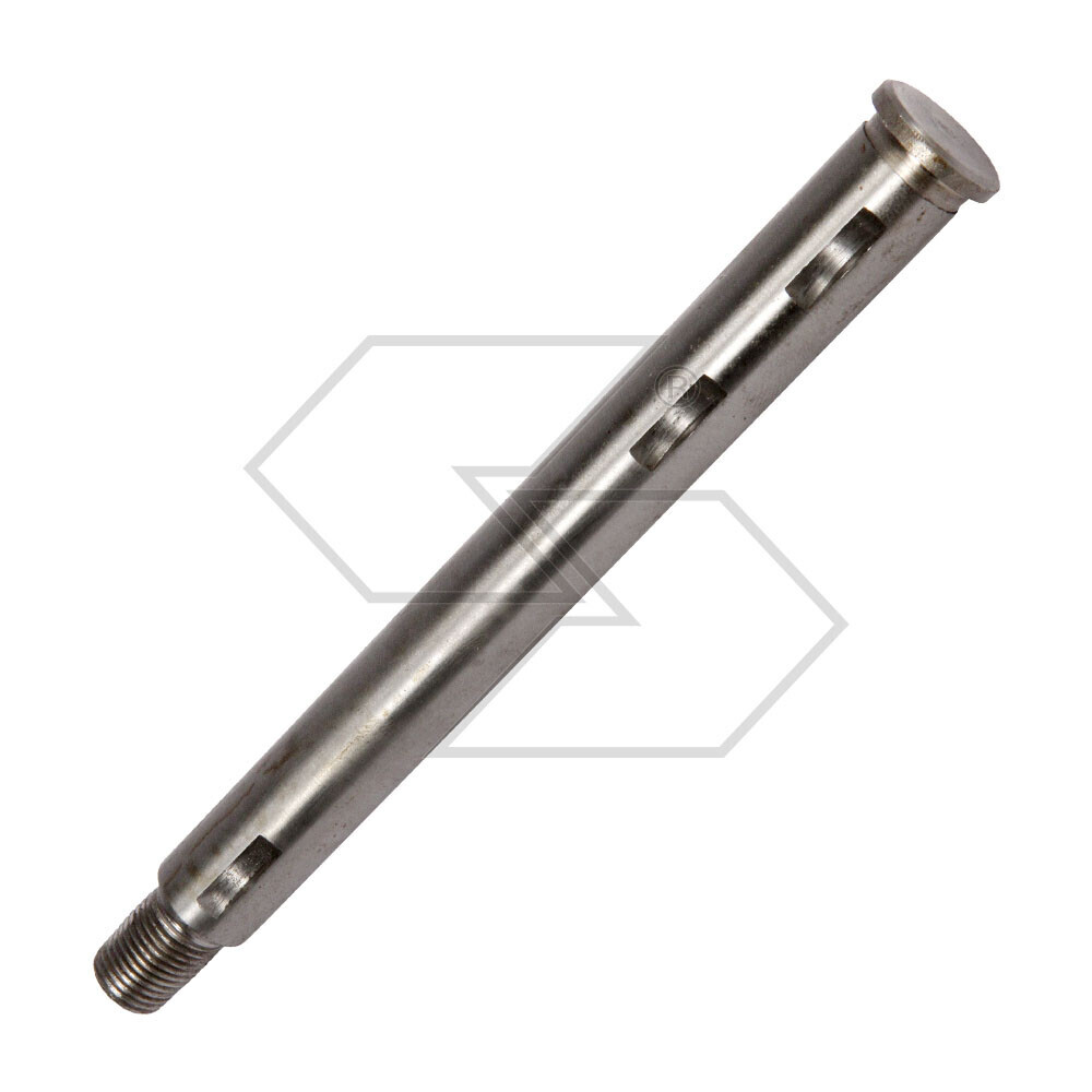 ALBERO LAMA MURRAY  21024 ALBERO LAMA MURRAY  21024