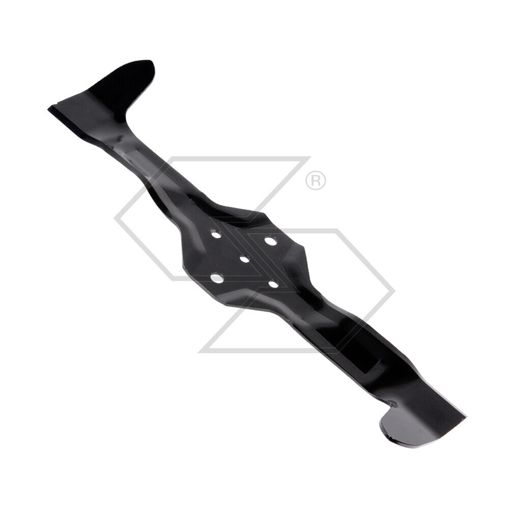 Lama Ayp Plate.42 'XR302635 Right (543)