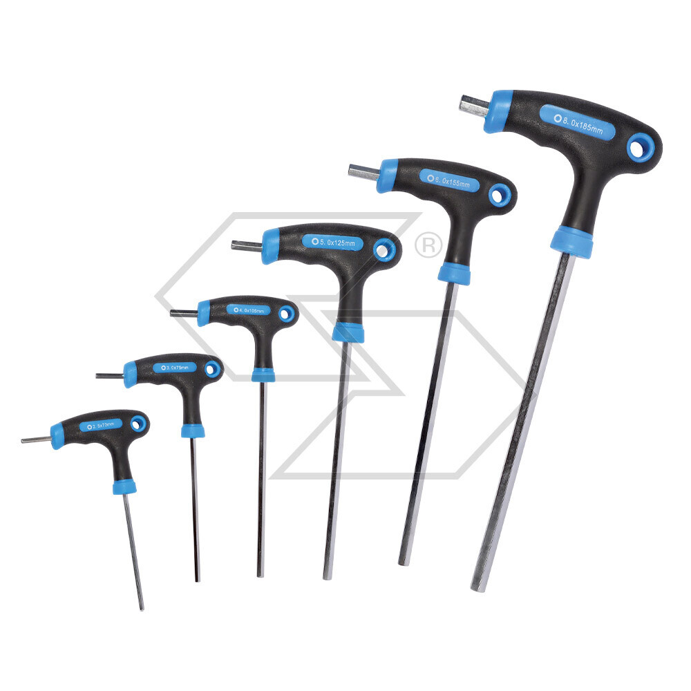 Set Of 6 Double-headed Hex Wrenches For Allen Screws