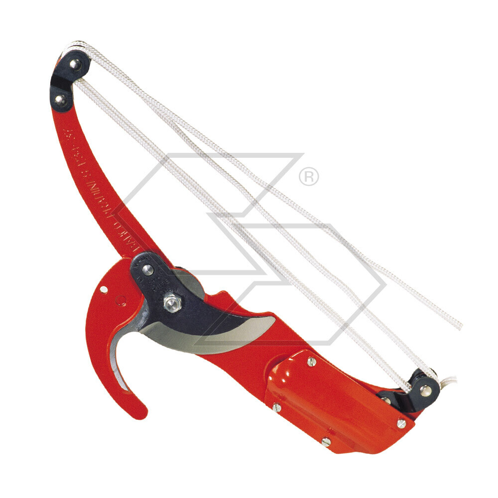Pruner Without Professional Rod
