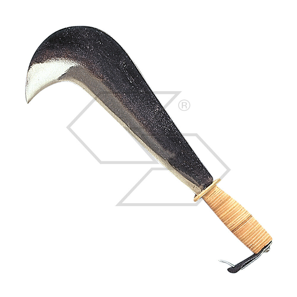 Ciociaro Type Marraccio