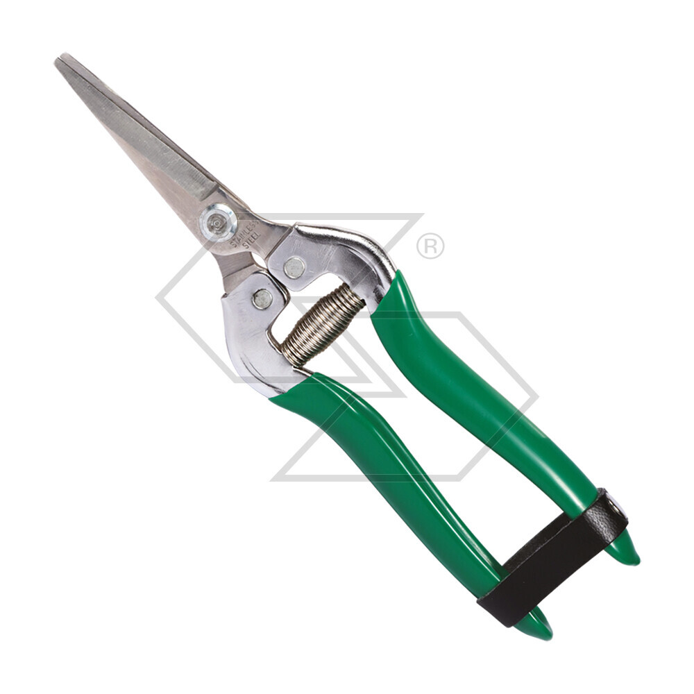 Fruit Picker With Straight Blades Fruit Picker With Straight Blades