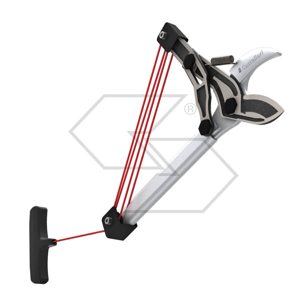 Cut Me Toucan Without Rod