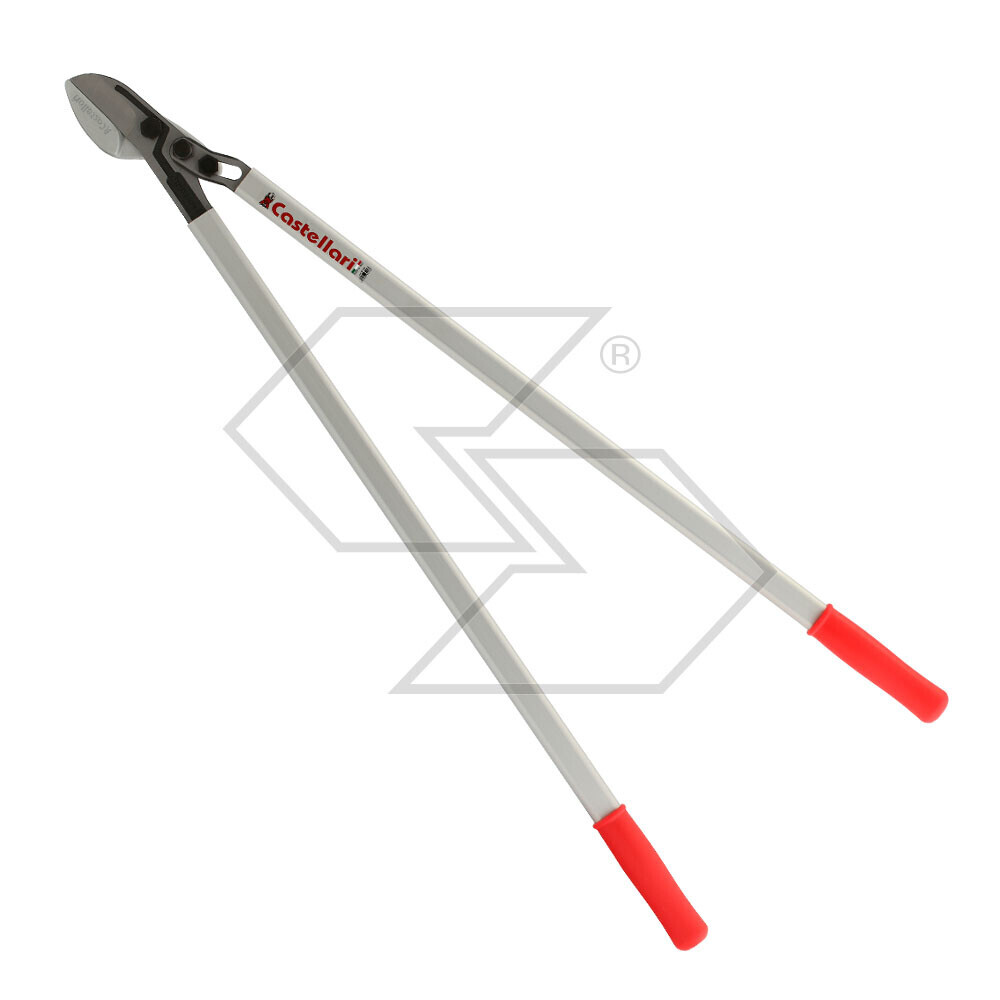 Professional  Professional