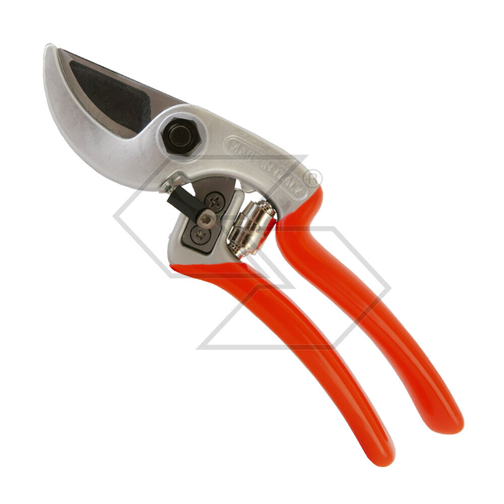 Professional  Professional