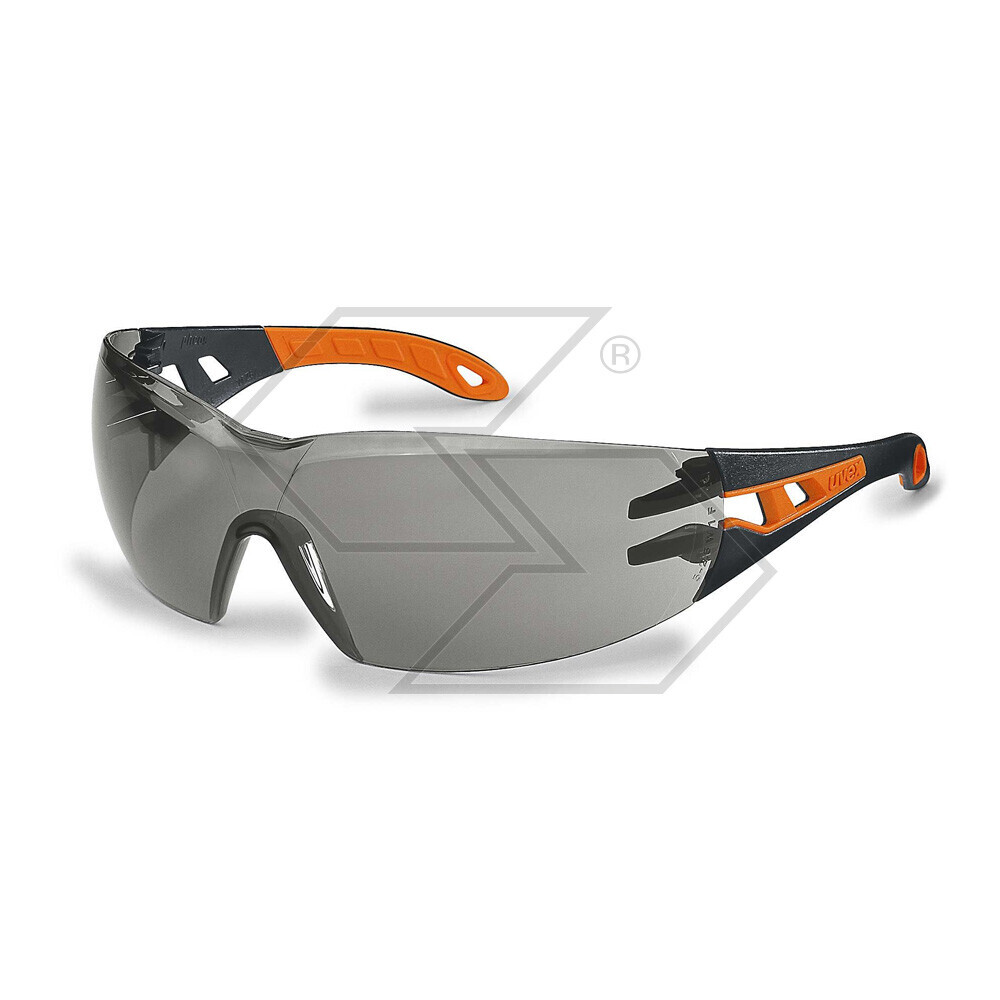 Gray Pheos Protective Glasses With Temple Gray Pheos Protective Glasses With Temple