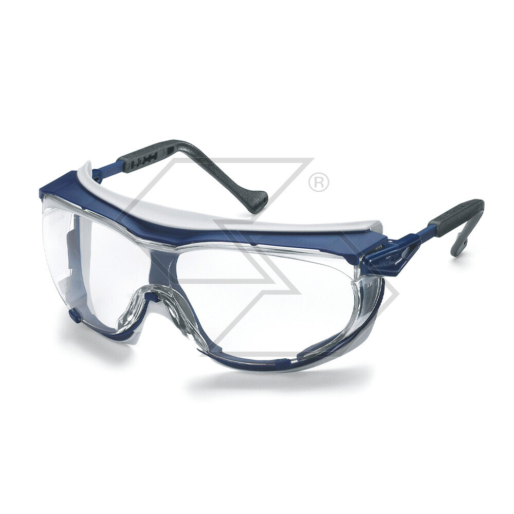 Skyguard Protective Glasses With Temple Skyguard Protective Glasses With Temple