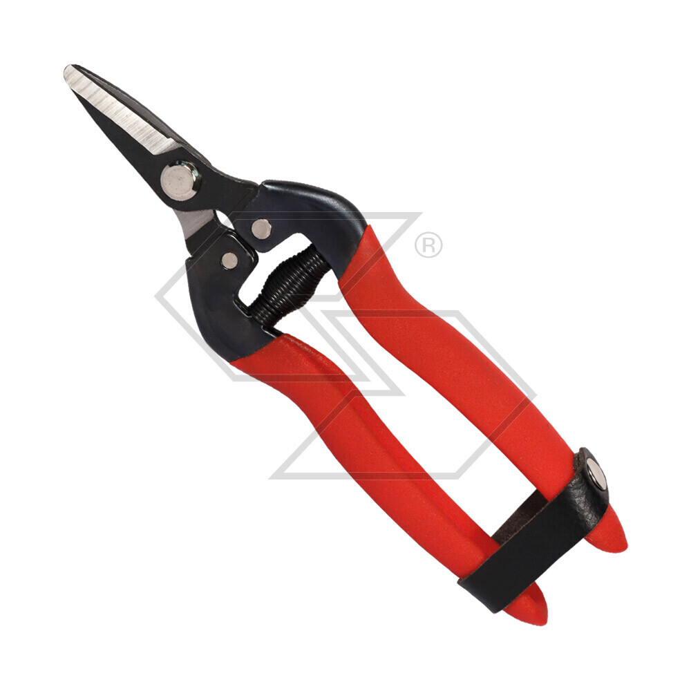 Collection Shears With Short Forest Blade Collection Shears With Short Forest Blade