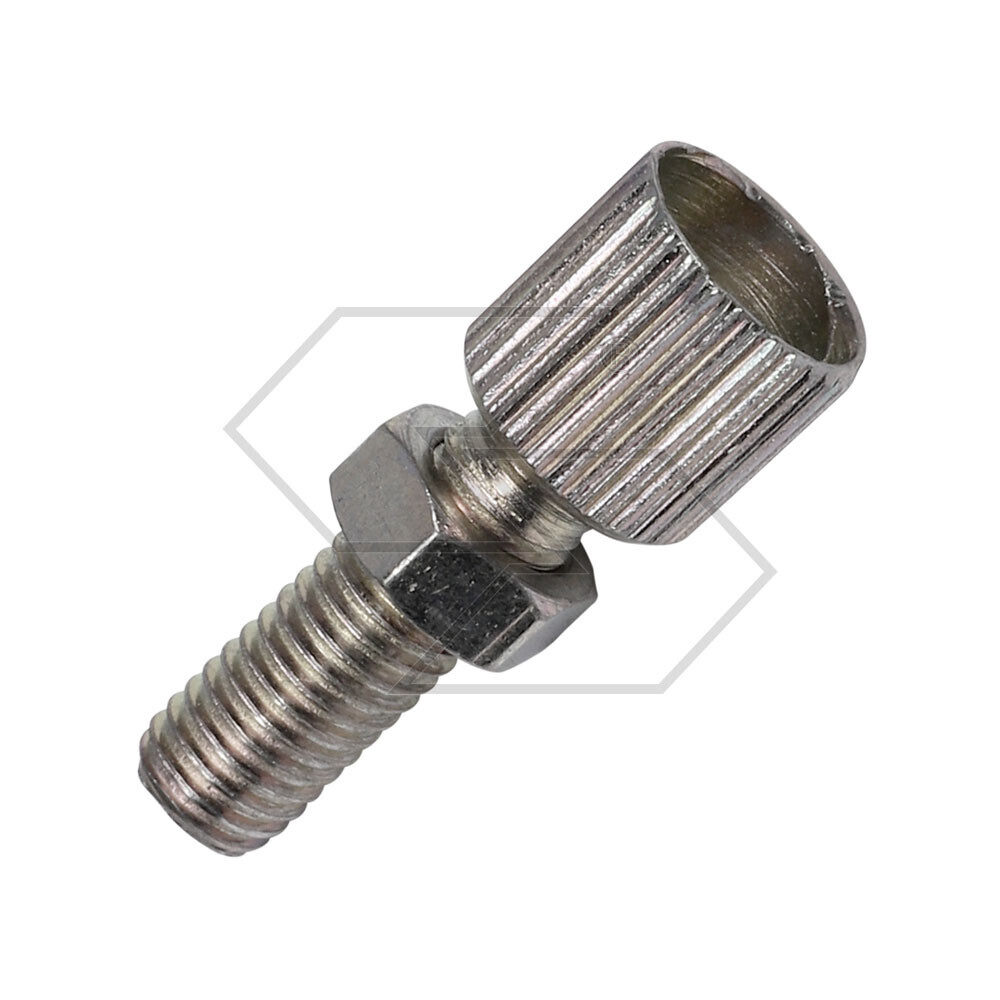 Tendiguaina Register Of The Vegetable Garden Sha