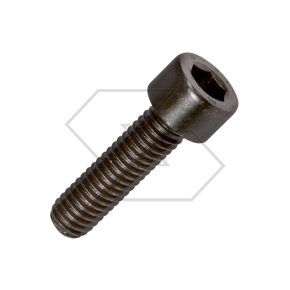 Screw Hedge Trimmer 10.9 M6x22 Screw Hedge Trimmer 10.9 M6x22