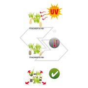 FILO 2,4 TONDO 87M BIOTRIM VALVA