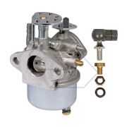 Carburetor From The R.7376 Garden