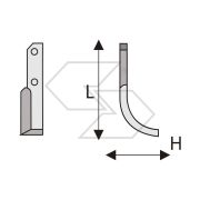 Hoes X Bertolini 307 Short