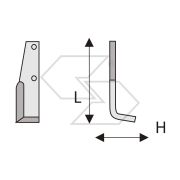 Hoes X Goldoni Cutter 21 Short