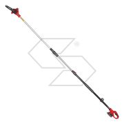 Potatore a batteria su asta telescopica FOR310