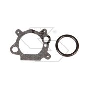 Carburetor Briggs 794304-799866
