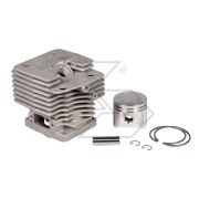 Complete Cylinder Echo 302