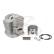 Kawasaki Th43 Complete Cylinder