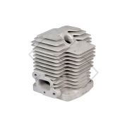 Kawasaki Th48 Complete Cylinder