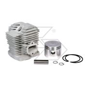 Kawasaki Th48 Complete Cylinder