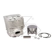 Stihl Fs500 Complete Cylinder