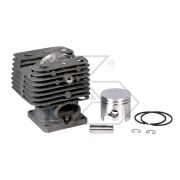 Stihl Fs200 Complete Cylinder Stihl Fs200 Complete Cylinder