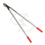 Professional Professional